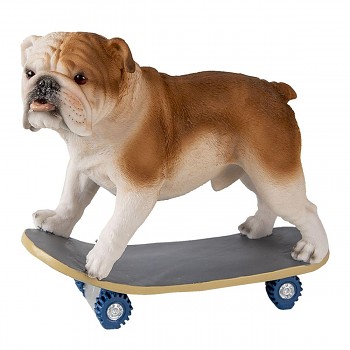 Pes na skateboardu