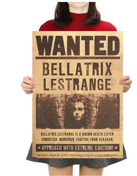 Plakát Bellatrix Lestrange, Harry Potter č.107, 42 x 30 cm