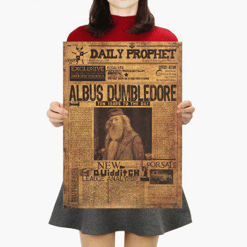 Plakát Albus Brumbál, Harry Potter č.066, 42 x 30 cm