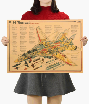 Plakát strážci nebes, Grumman F-14 Tomcat, č.258, 50.5 x 36 cm