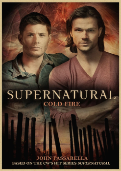 Plakát Supernatural, Lovci duchů č.321, 42 x 30 cm