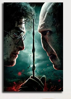 Plakát Harry Potter č.095, 51.5 x 36cm